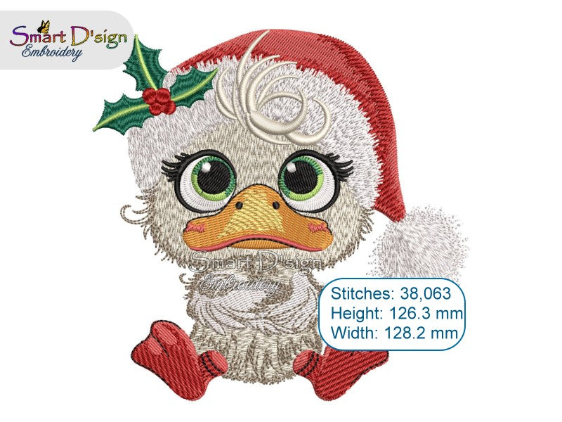 CHRISTMAS DUCKLING