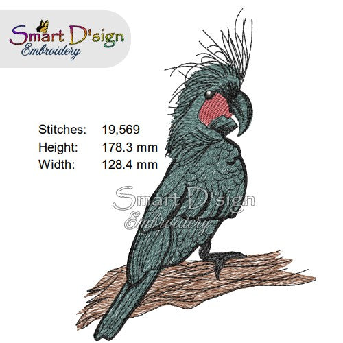 Australian Black Palm Cockatoo