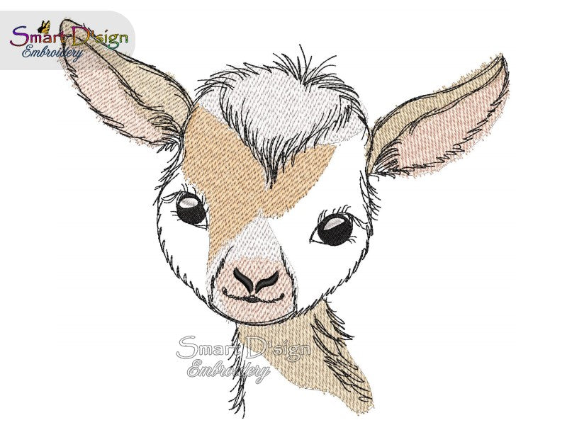 LITTLE GOAT (KID) - FARM LIFE