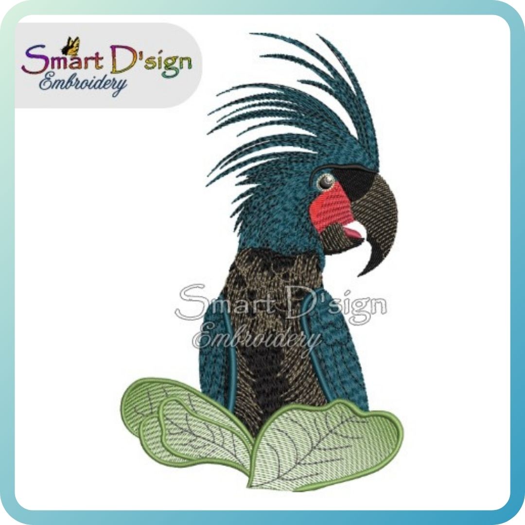 Australian Black Palm Cockatoo