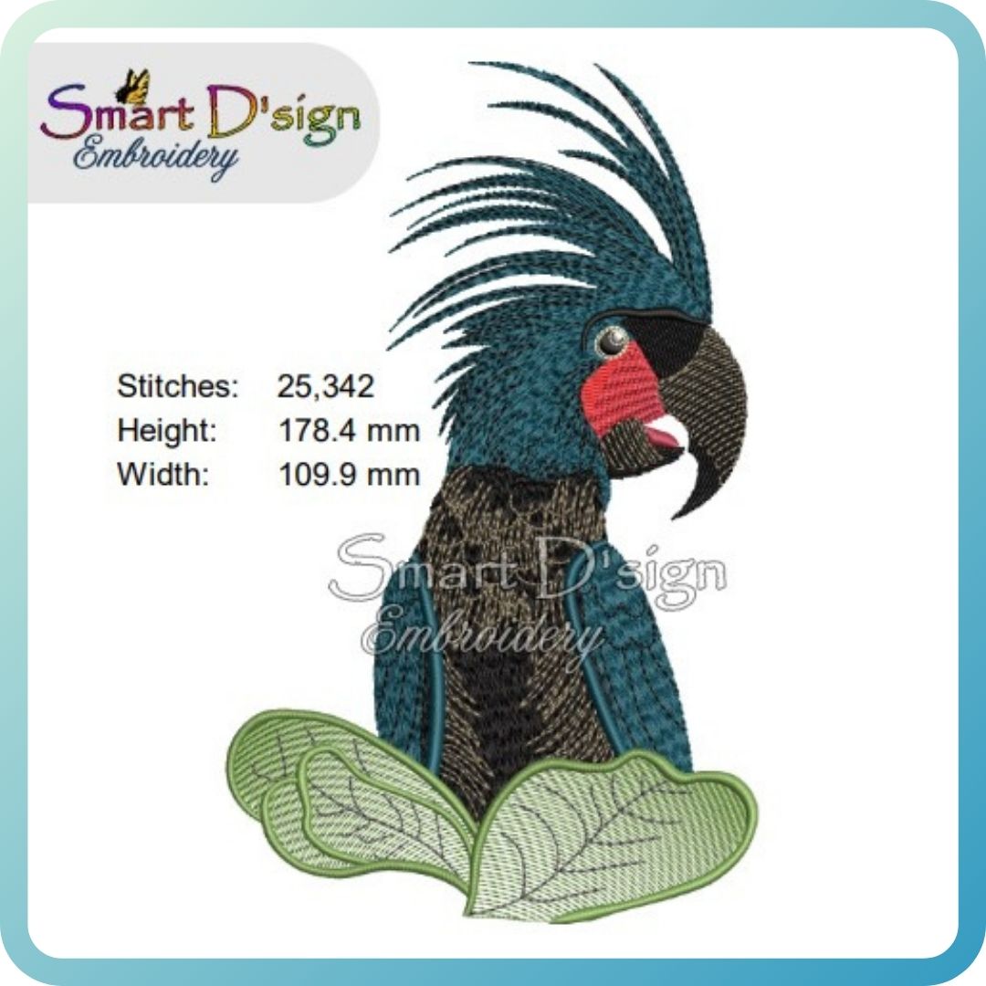 Australian Black Palm Cockatoo