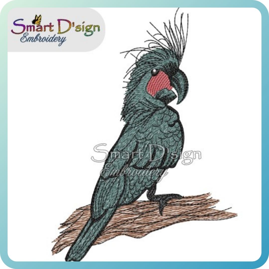 Australian Black Palm Cockatoo