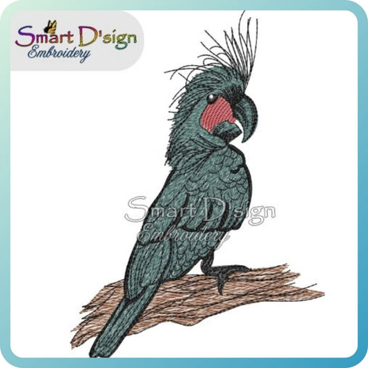 Australian Black Palm Cockatoo