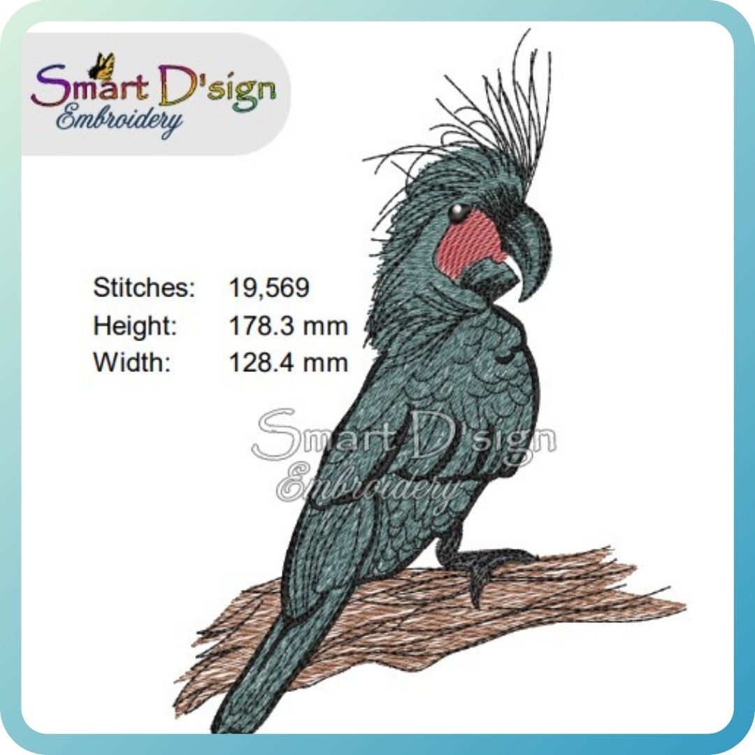 Australian Black Palm Cockatoo