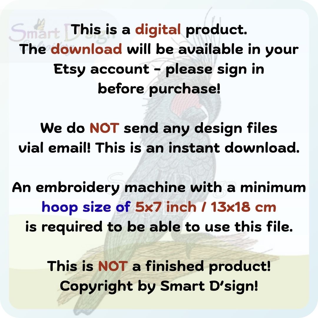 Australian Black Palm Cockatoo