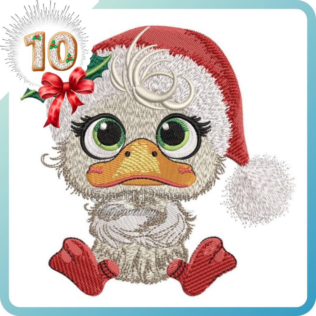 CHRISTMAS DUCKLING