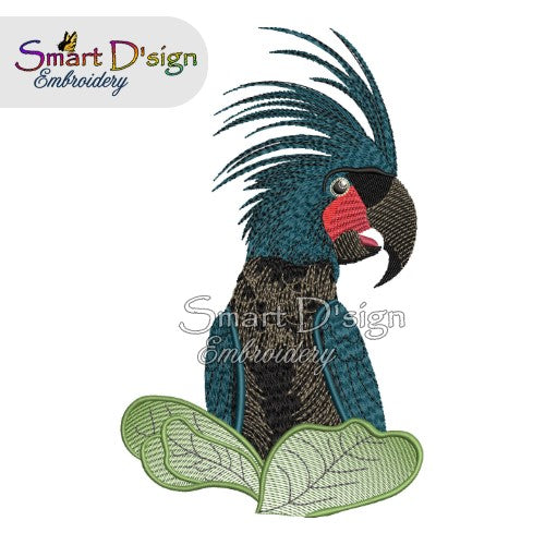 Australian Black Palm Cockatoo