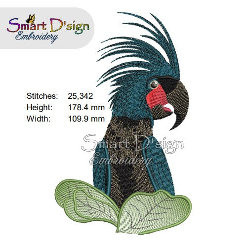 Australian Black Palm Cockatoo