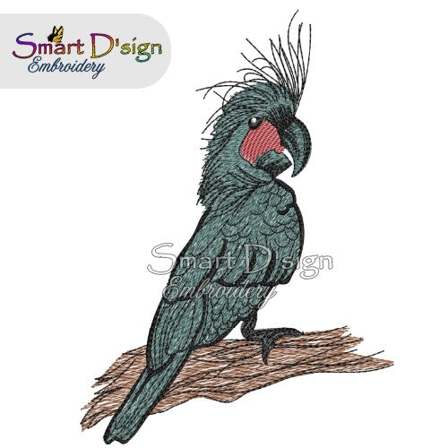 Australian Black Palm Cockatoo